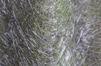 Woolage Green fibreglass roof work